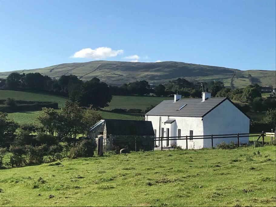 Mournes Family Cottage With Hot Tub Hilltown Ngoại thất bức ảnh