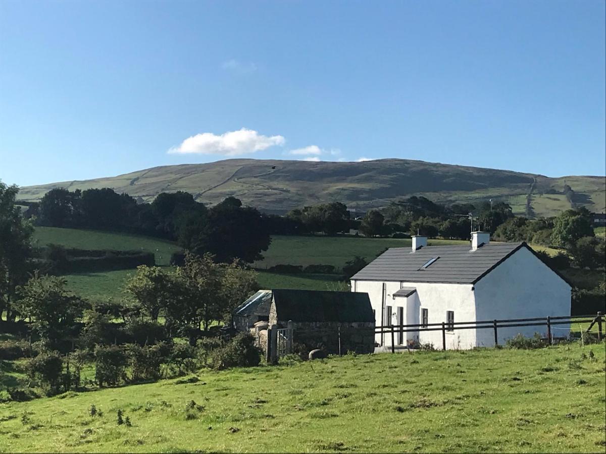Mournes Family Cottage With Hot Tub Hilltown Ngoại thất bức ảnh