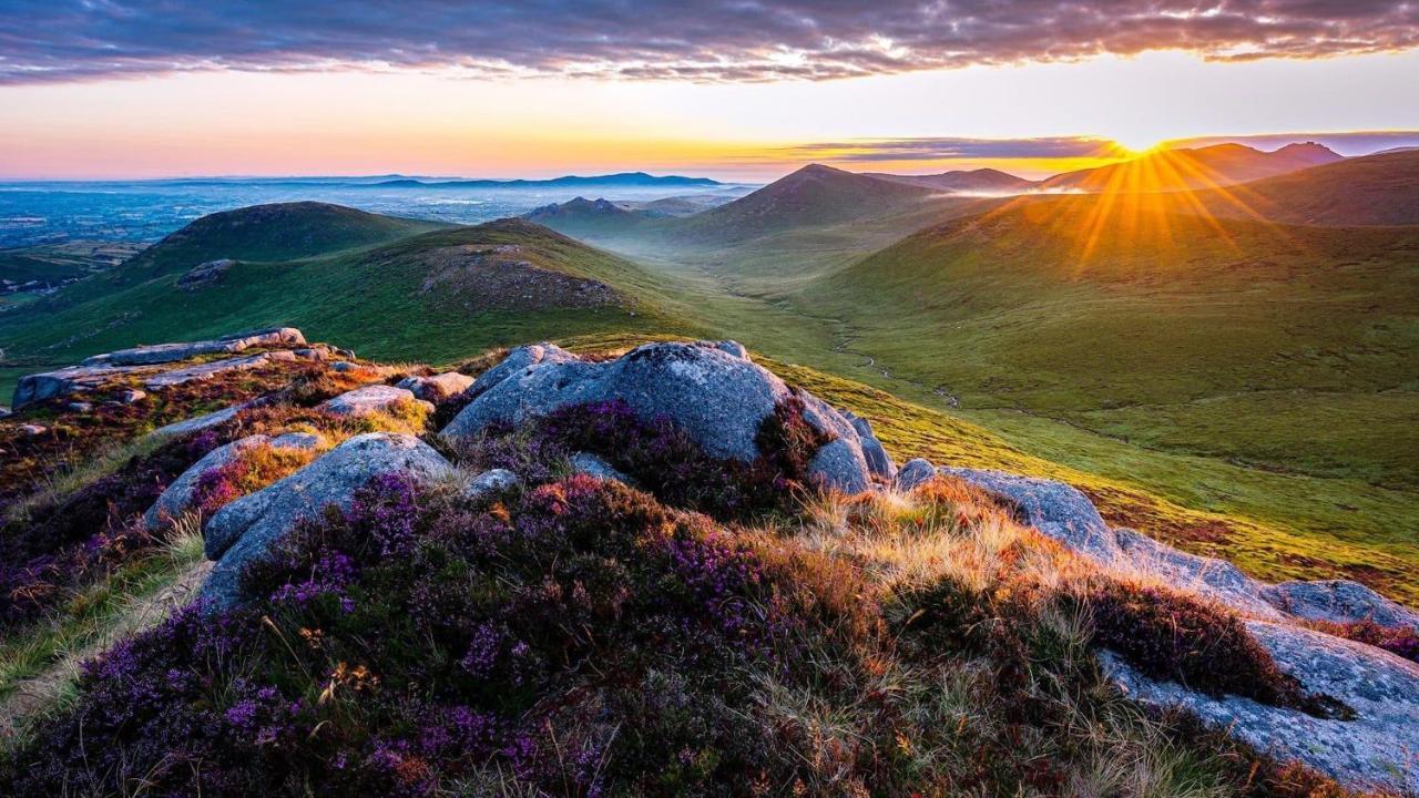 Mournes Family Cottage With Hot Tub Hilltown Ngoại thất bức ảnh
